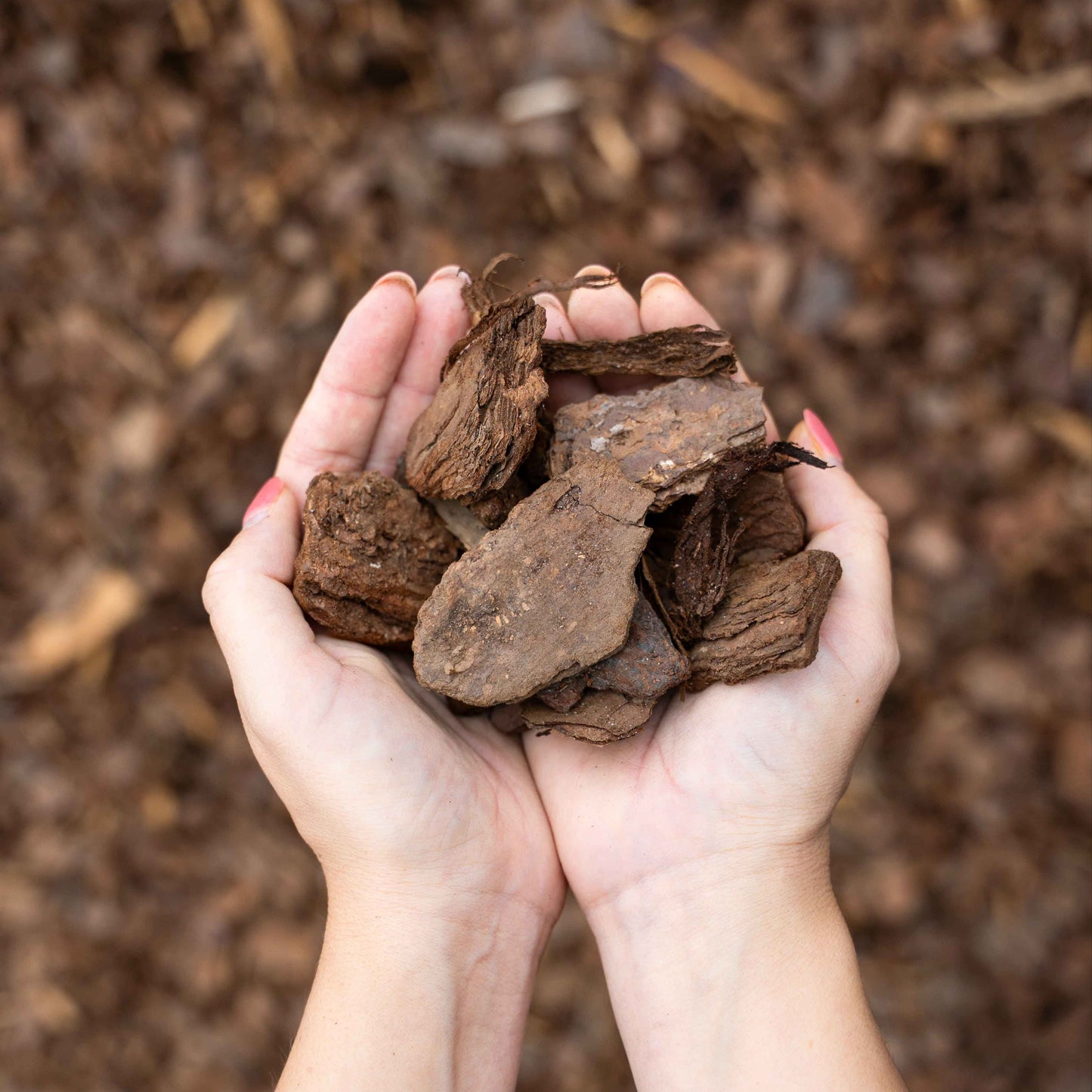 Pine Bark Mini Nuggets - per yard