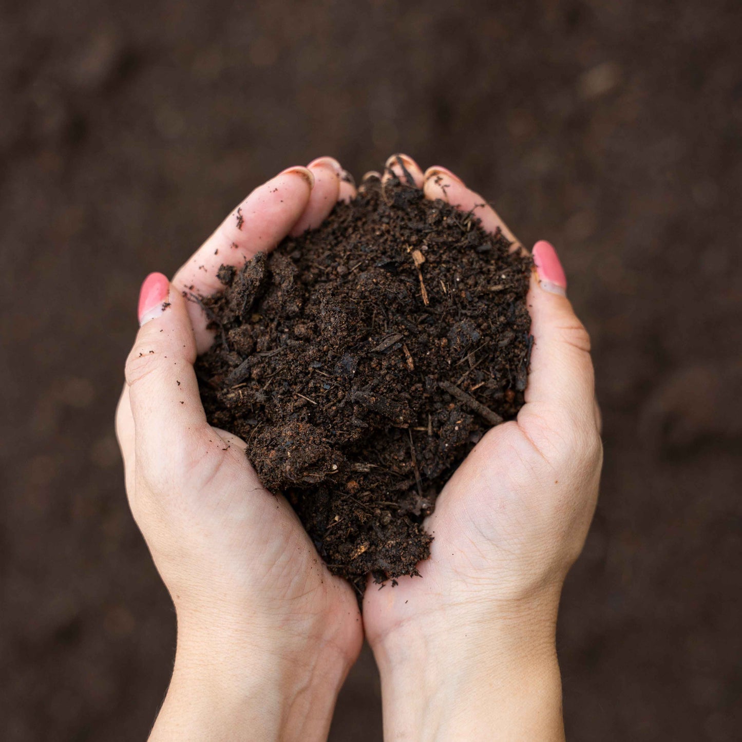 Screened Top Soil - per yard