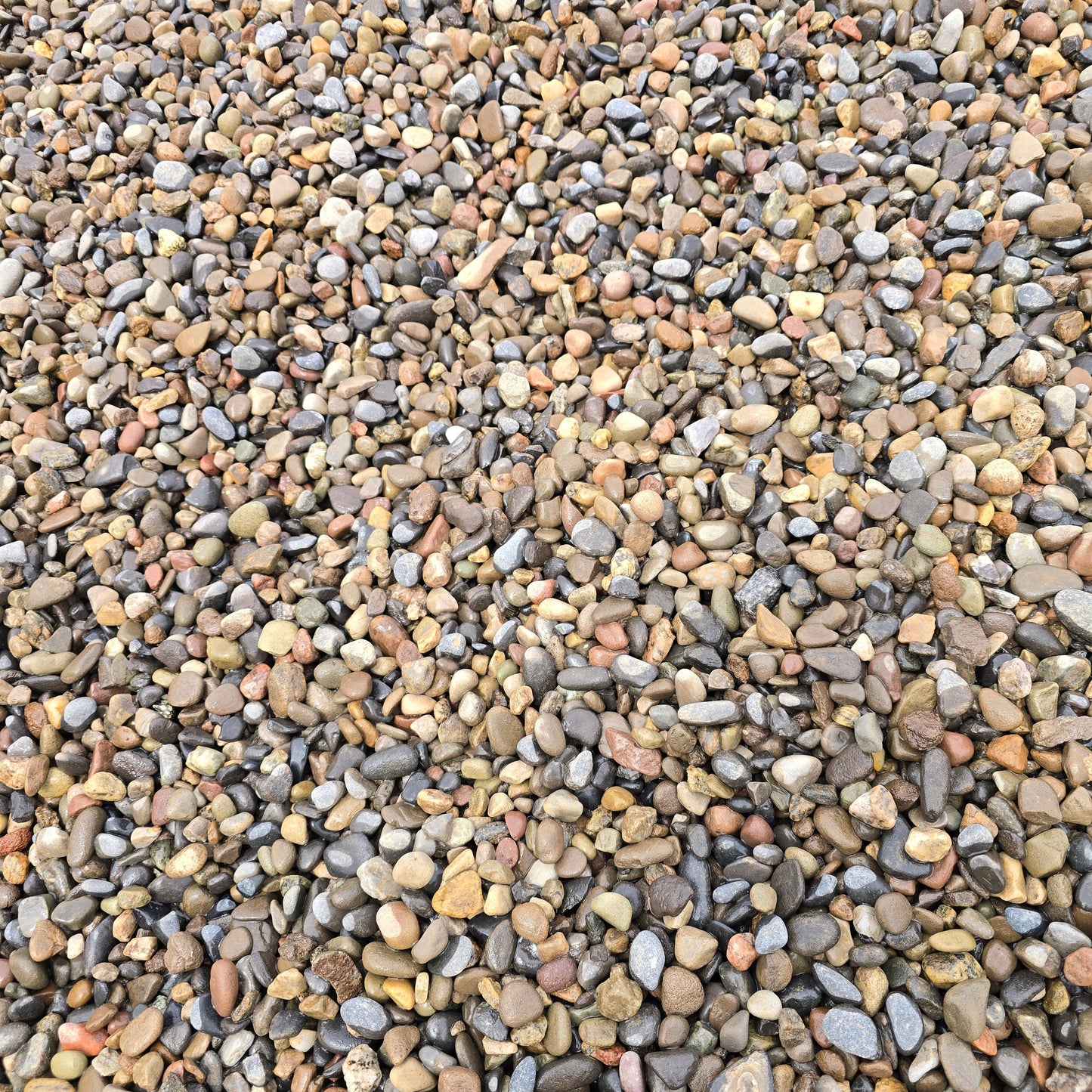 Bulk NE Pea Gravel