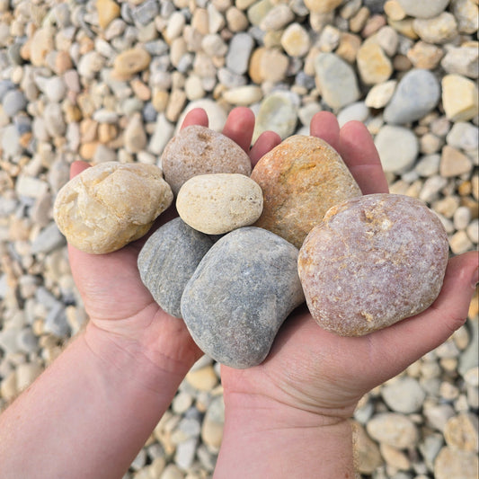 Bulk Palomino Creek 1"-3"