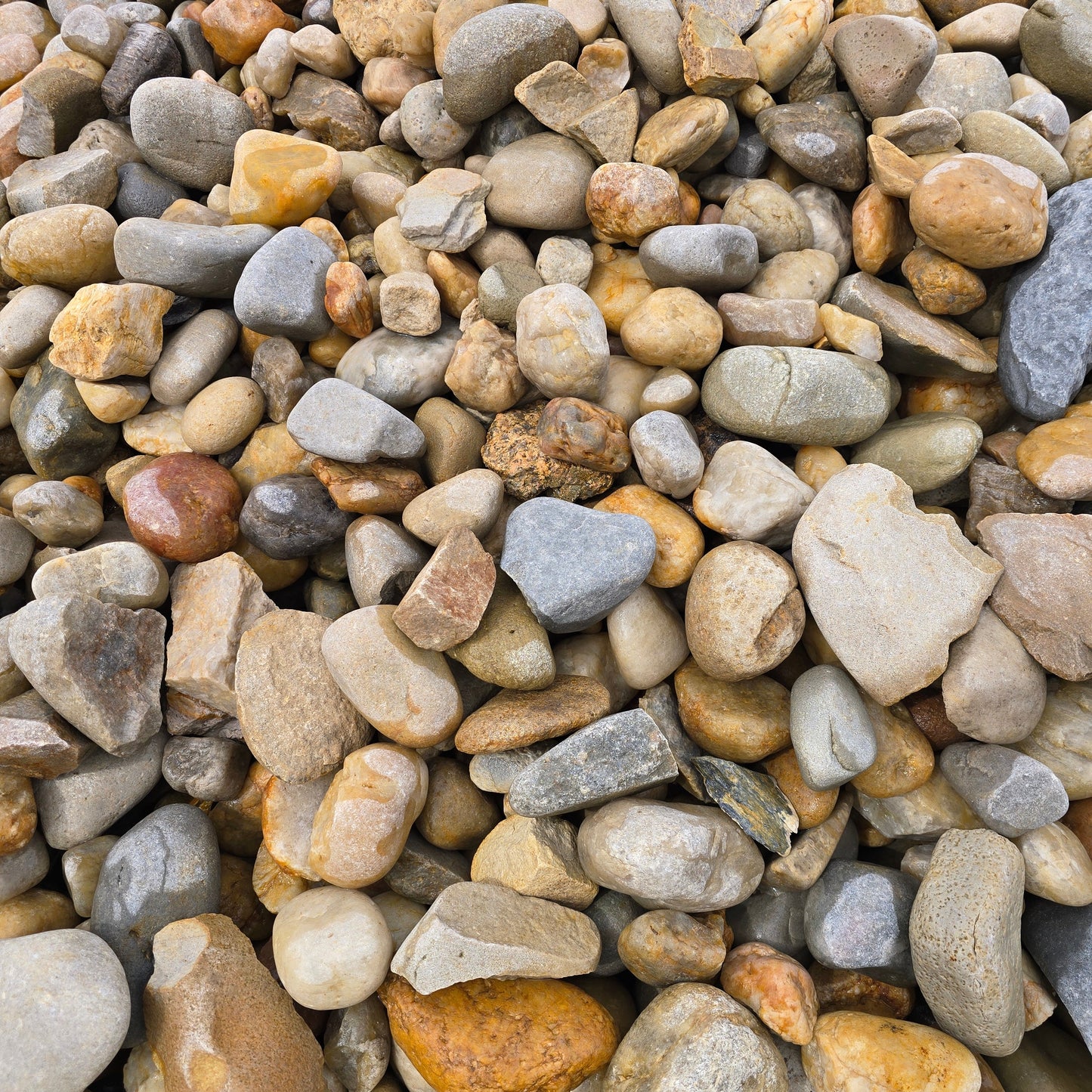 Bulk Palomino Creek 1"-3"