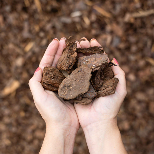 Pine Bark Mini Nuggets - per yard