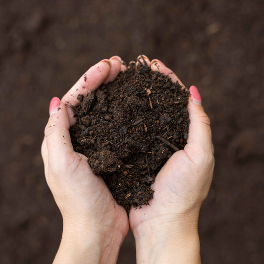 Screened Top Soil - per yard