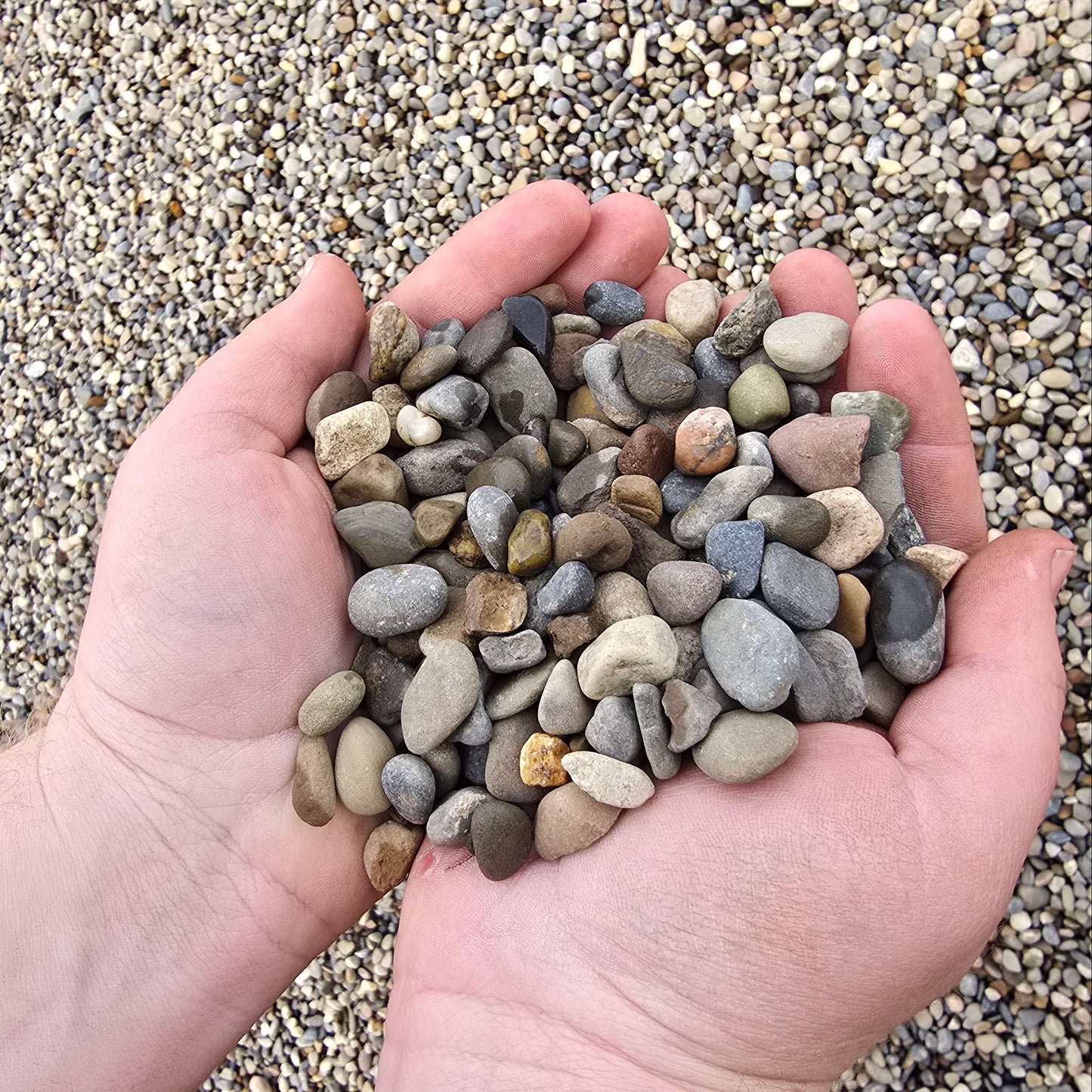 Bulk NE Pea Gravel
