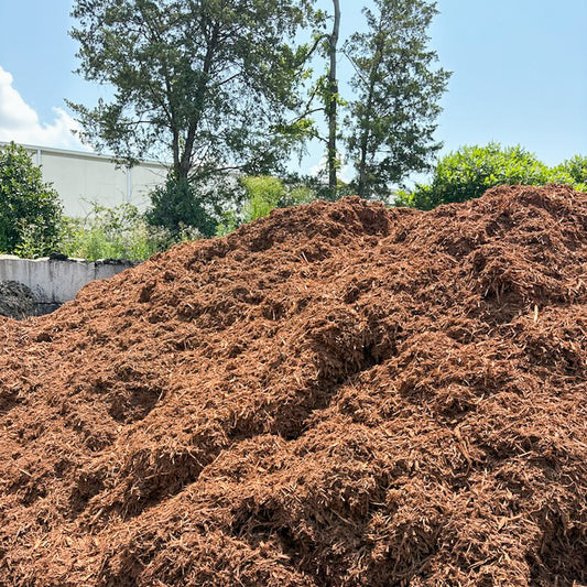 Red Oak Hardwood - per yard