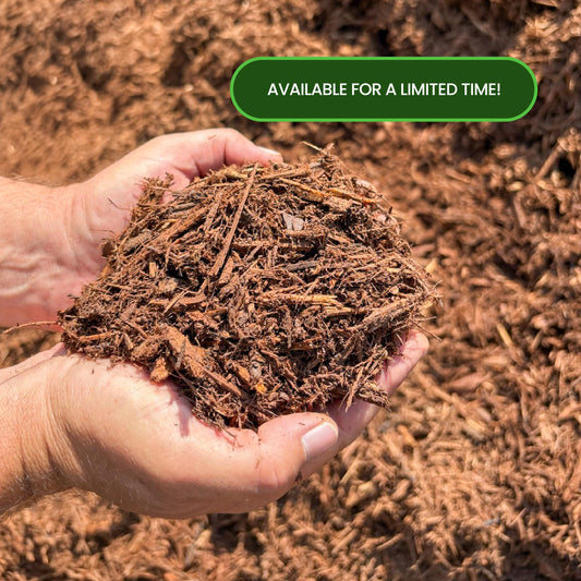 Red Oak Hardwood - per yard