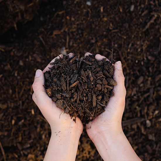 Carolina Top Soil - per yard