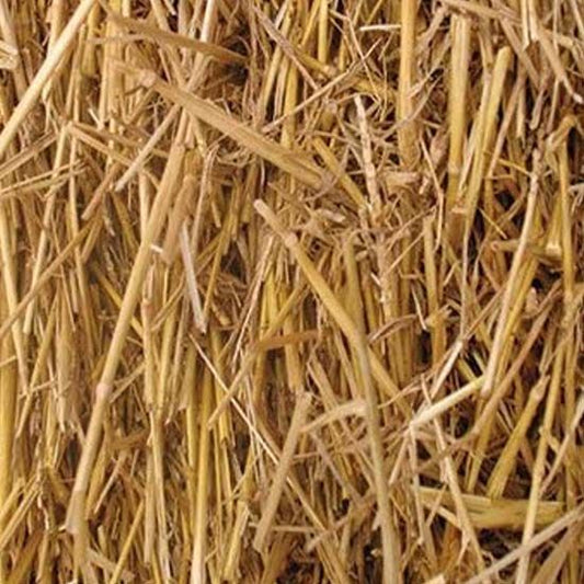 Wheat Straw - Per Bale